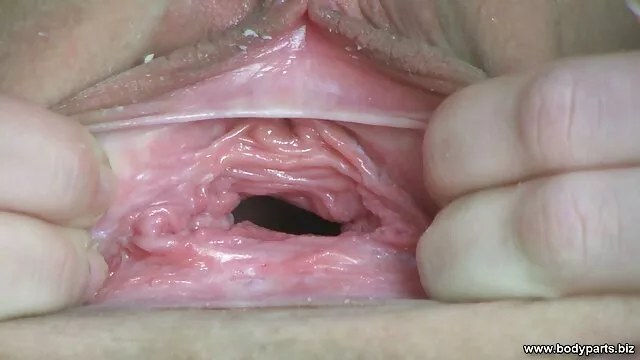Nô lệ, đánh đập, gay ...