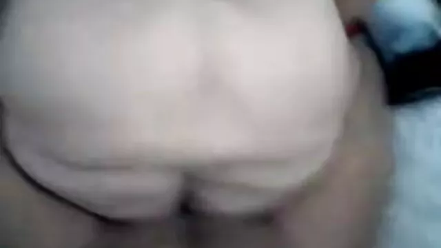 Lily Radar là một nô ...